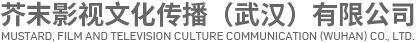 湖北广告宣传片制作